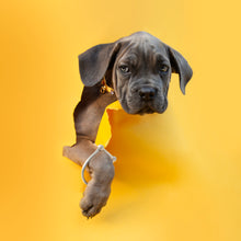 Charger l'image dans la galerie, BRACELET MENOTTE EN ARGENT