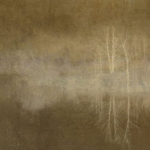 Charger l'image dans la galerie, Panoramique Etang