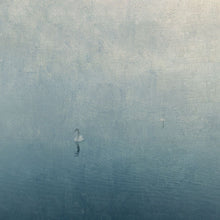 Charger l'image dans la galerie, Panoramique Cygne