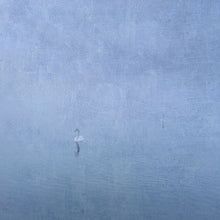 Charger l'image dans la galerie, Panoramique Cygne