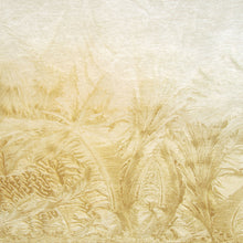 Charger l'image dans la galerie, Panoramique Givre