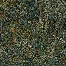 Charger l'image dans la galerie, Panoramique Herbier Renard