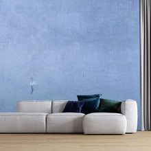 Charger l'image dans la galerie, Panoramique Cygne