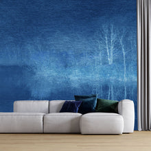 Charger l'image dans la galerie, Panoramique Etang