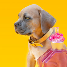 Charger l'image dans la galerie, COLLIER RUPY