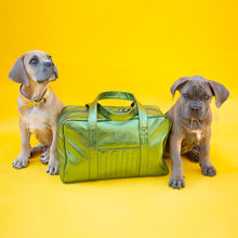 Charger l'image dans la galerie, SAC STAN