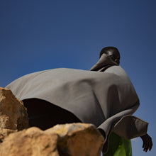 Charger l'image dans la galerie, CAPE NOÉ EN CACHEMIRE