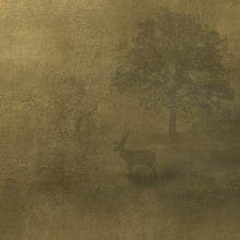 Charger l'image dans la galerie, Panoramique Cerf