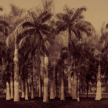 Charger l'image dans la galerie, Panoramique Exotique 2