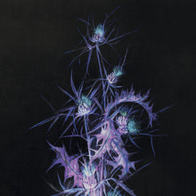 Charger l'image dans la galerie, Panoramique Chardon