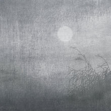 Charger l&#39;image dans la galerie, Décor Mural Stella Cadente Lune
