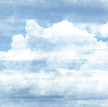 Charger l'image dans la galerie, Panoramique Nuages