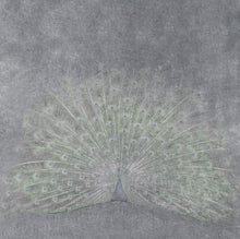 Charger l'image dans la galerie, Panoramique Paon Roue