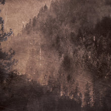 Charger l'image dans la galerie, Panoramique Foret de Sapin