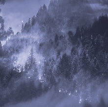 Charger l'image dans la galerie, Panoramique Foret de Sapin