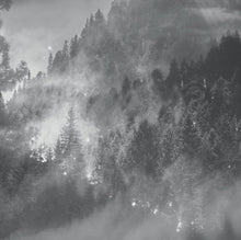 Charger l'image dans la galerie, Panoramique Foret de Sapin