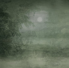 Charger l'image dans la galerie, Panoramique Sous Bois