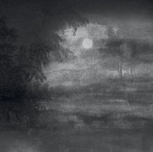 Charger l'image dans la galerie, Panoramique Sous Bois