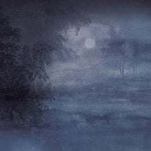 Charger l'image dans la galerie, Panoramique Sous Bois