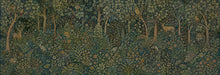 Charger l'image dans la galerie, Panoramique Herbier Renard
