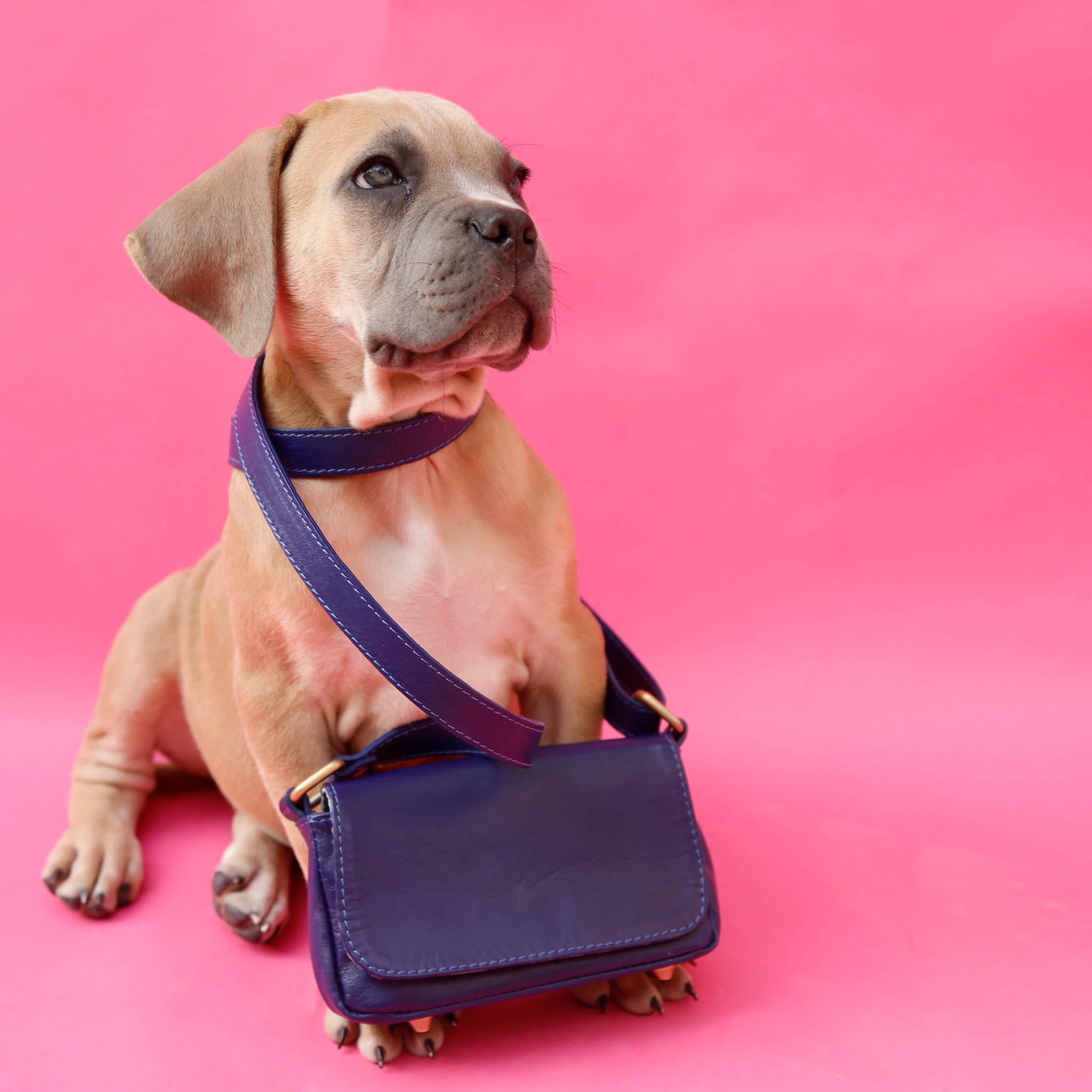 Sac Bandoulière Stella Cadente Rouge Et Doré - NEUF Avec étiquettes - Polyester - Doublure Beige